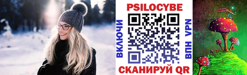 Псилоцибиновые грибы Psilocybine cubensis  Курчатов 