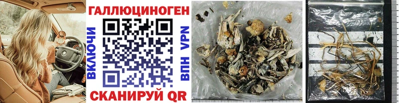 Галлюциногенные грибы MAGIC MUSHROOMS Курчатов